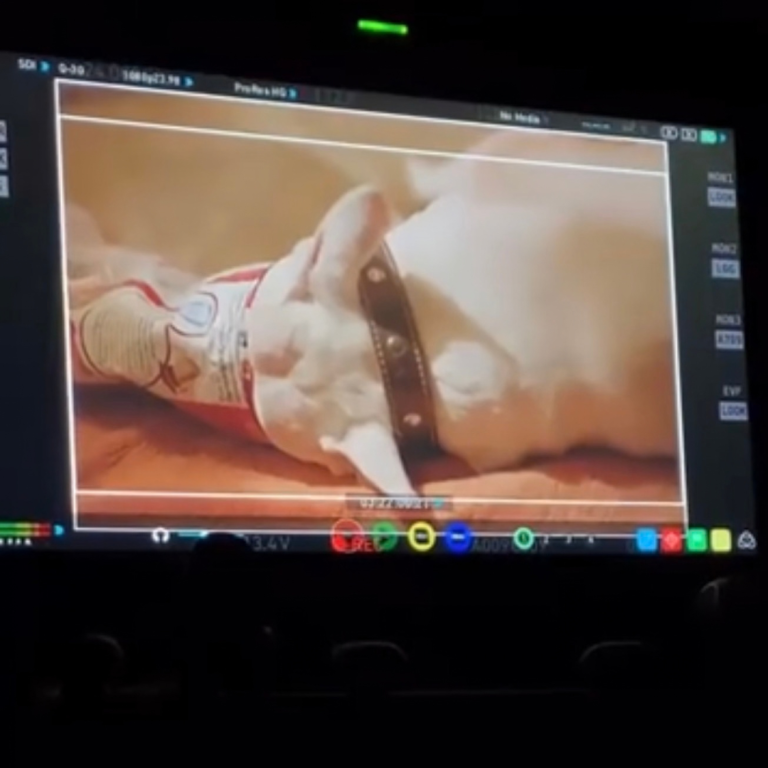 FILM PRODUCTION (9)